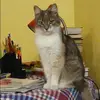 Отзыв от Венера Успенская